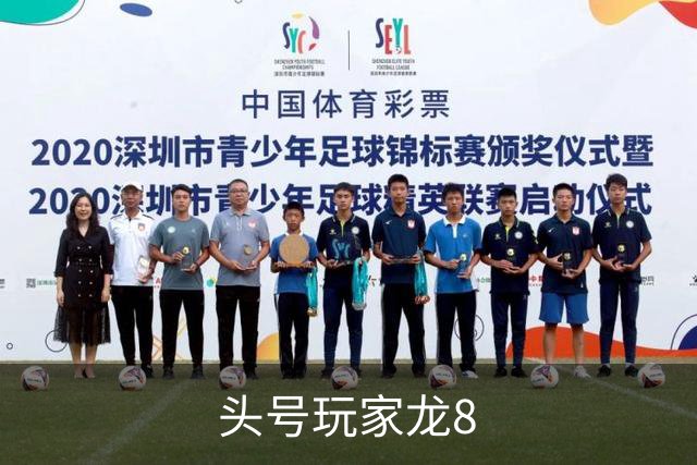 头号玩家龙8公司介绍图